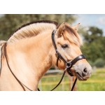Edix ED2 Grace Sidepull Bridle